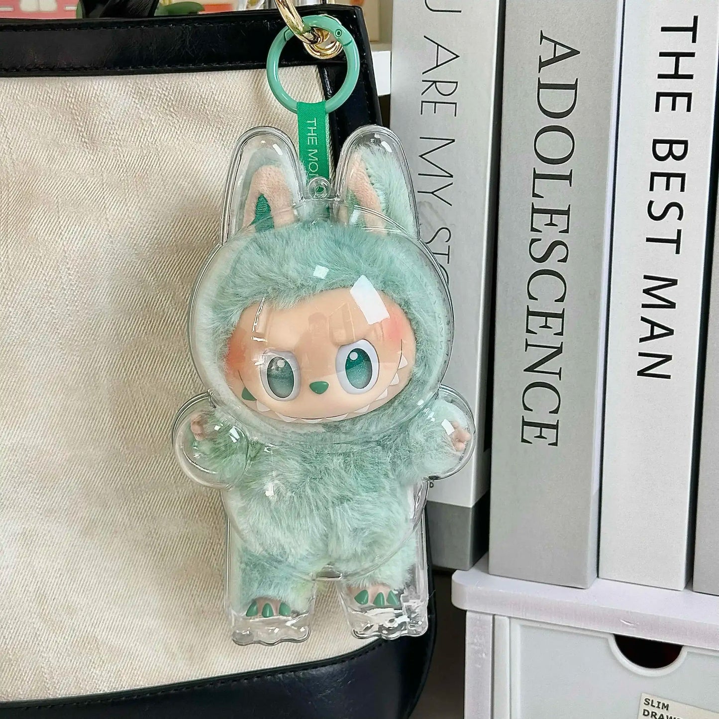 TRANSPARENT PROTECTION CASE